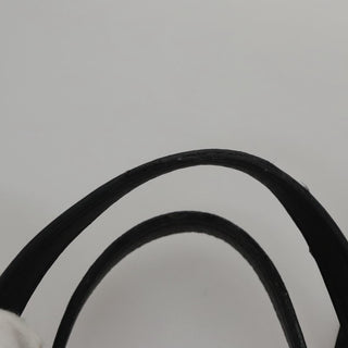 Balenciaga Everyday Tote Leather