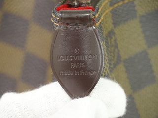 Louis Vuitton Saleya Handbag Damier