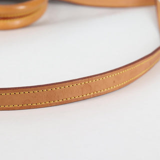 Louis Vuitton Ellipse Bag Monogram Canvas