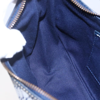 Celine Ava Bag Triomphe Canvas