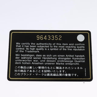 Chanel Vintage Clover Camera Bag Printed Canvas