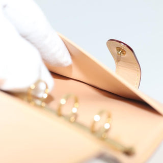 Louis Vuitton Agenda Cover Canvas Multicolor