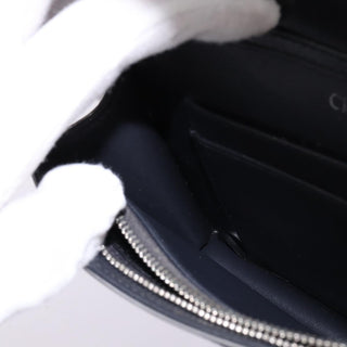 Christian Dior Diorama Wallet on Chain Metallic Distressed Calfskin