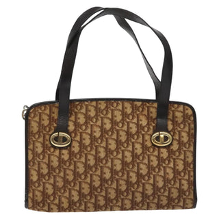 Christian Dior Trotter Canvas