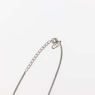 Christian Dior Logo Necklace Metal