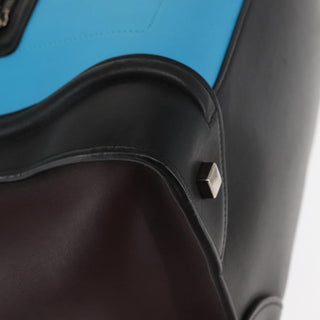 Celine Tricolor Luggage Bag Leather