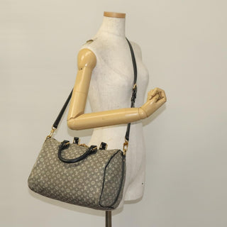 Louis Vuitton Speedy Bandouliere Bag Monogram Idylle