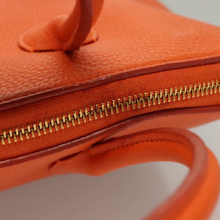 Louis Vuitton Suhali Lockit Handbag Leather