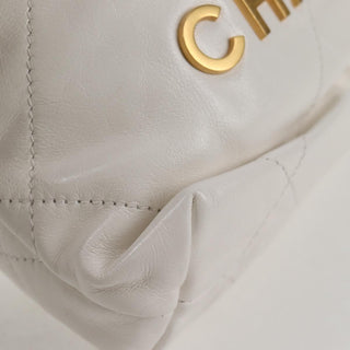 Chanel 22 Chain Hobo Quilted lambskin