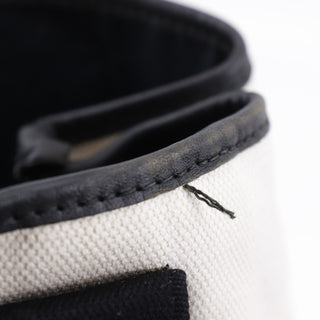 Balenciaga Cabas Tote Canvas and Leather