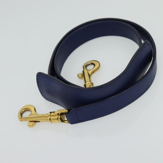 Celine Trapeze Bag Leather with Suede