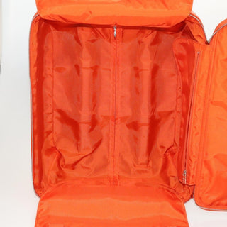 Louis Vuitton Pegase Luggage Epi Leather