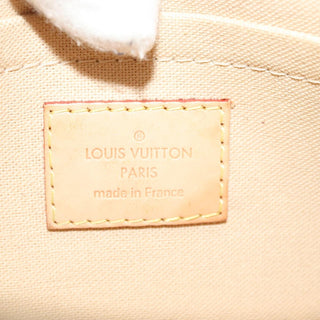 Louis Vuitton Favorite Handbag Damier