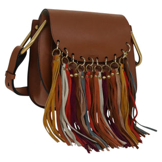 Chloe Multicolor Fringe Hudson Bag Leather