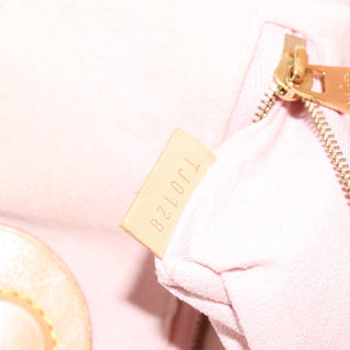 Louis Vuitton Propriano Handbag Damier