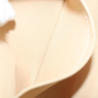 Louis Vuitton Favorite Handbag Damier