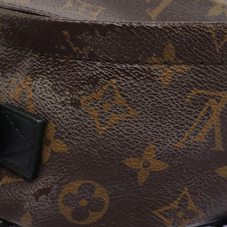 Louis Vuitton Palm Springs Backpack Monogram Canvas