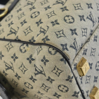 Louis Vuitton Josephine Handbag Mini Lin