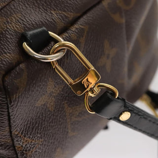 Louis Vuitton Palm Springs Backpack Monogram Canvas