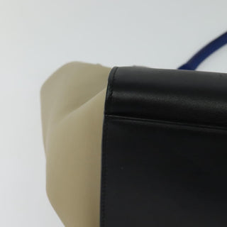 Celine Trapeze Bag Leather