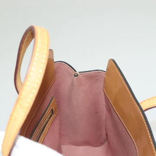 Louis Vuitton Catalina Handbag Monogram Vernis