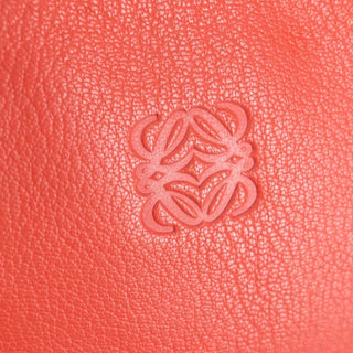 Loewe Amazona Bag Leather