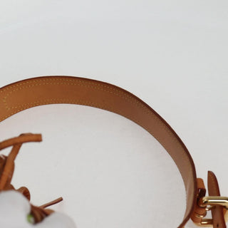 Louis Vuitton Petit Noe Handbag Monogram Multicolor