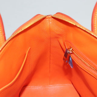 Louis Vuitton Suhali Lockit Handbag Leather