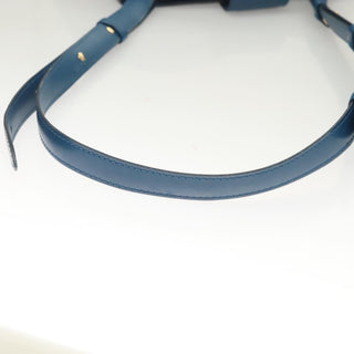 Louis Vuitton Cluny Shoulder Bag Epi Leather