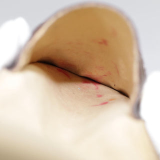 Louis Vuitton Etui à lunette Canvas