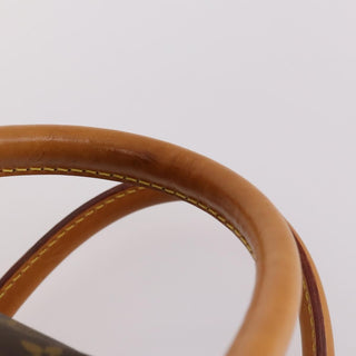 Louis Vuitton Dog Carrier Bag Monogram Canvas