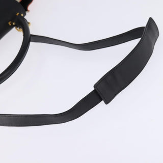 Celine Trapeze Bag Canvas with Leather