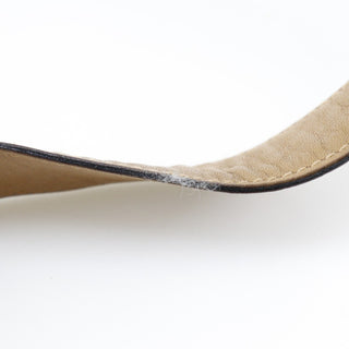 Celine Messenger Bag Triomphe Coated Canvas