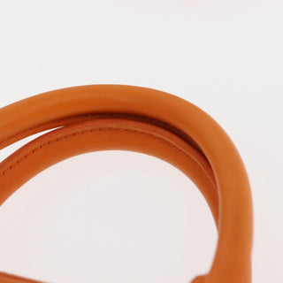 Louis Vuitton Danura Handbag Epi