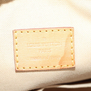 Louis Vuitton Riviera Handbag Damier