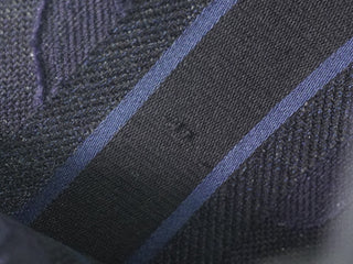 Christian Dior Book Tote Embroidered Canvas