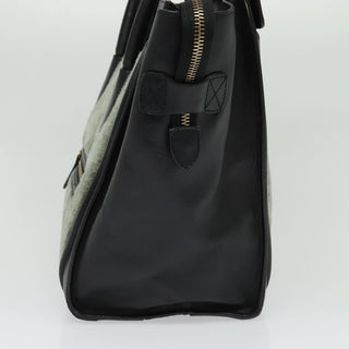 Celine Bicolor Luggage Bag Nubuck