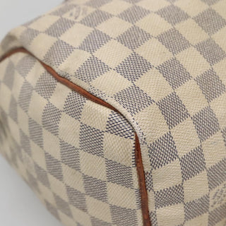 Louis Vuitton Speedy Handbag Damier