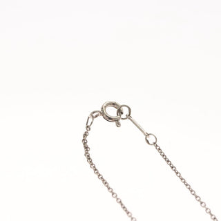 Tiffany & Co. Elsa Peretti Teardrop Necklace Silver 925