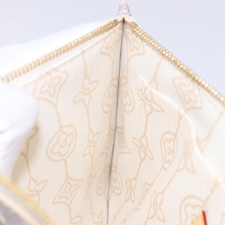 Louis Vuitton Neverfull Pochette Damier