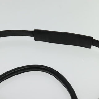 Celine Trapeze Bag Leather with Suede