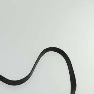 Chloe Hailey Bag Leather