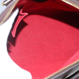 Louis Vuitton Trevi Handbag Damier