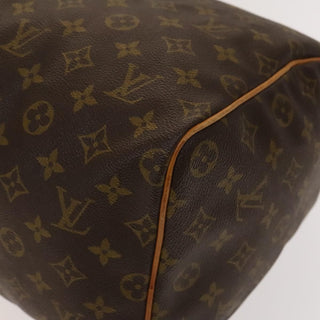 Louis Vuitton Speedy Handbag Monogram Canvas