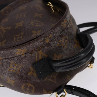 Louis Vuitton Palm Springs Backpack Monogram Canvas
